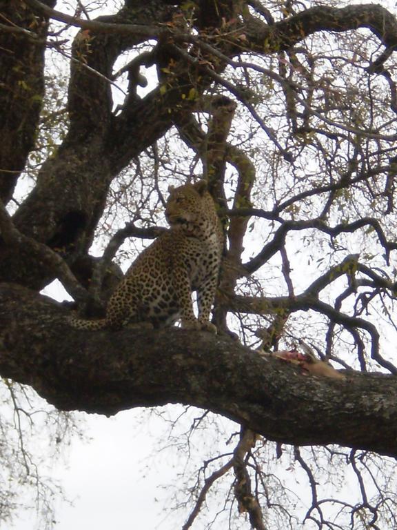 Manzini River House - Mjejane Private Game Reserve, Greater Kruger National Park Hectorspruit Exteriör bild